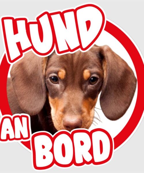 hund an bord produktbild